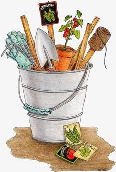LOS RIESGOS EN PATIOS Y JARDINES-CONTINUACI脫N