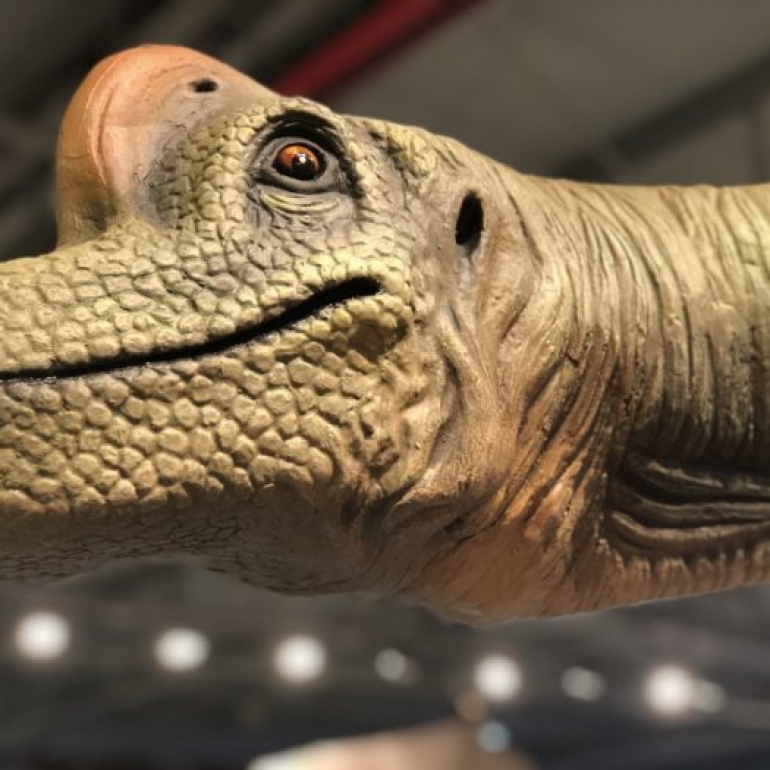 2019 - Dinosaurios en la sala (TM)
