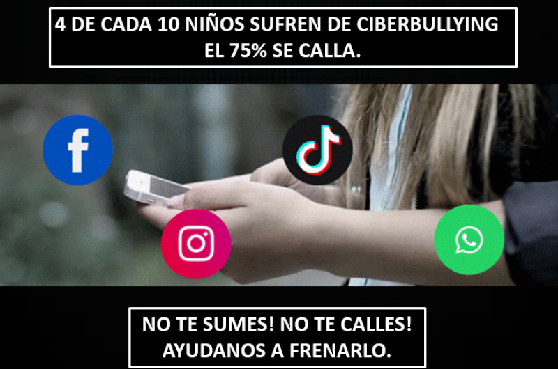CIBERBULLYING