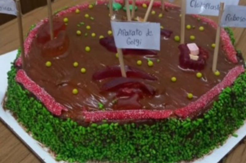 MAQUETAS COMESTIBLES