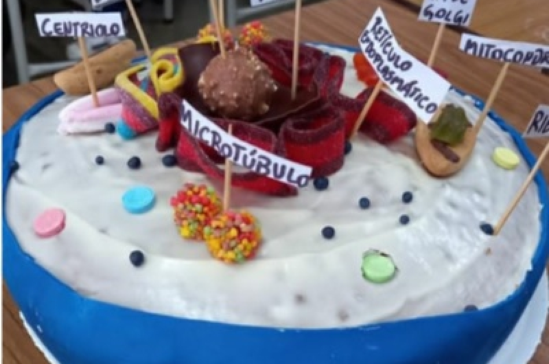 MAQUETAS COMESTIBLES