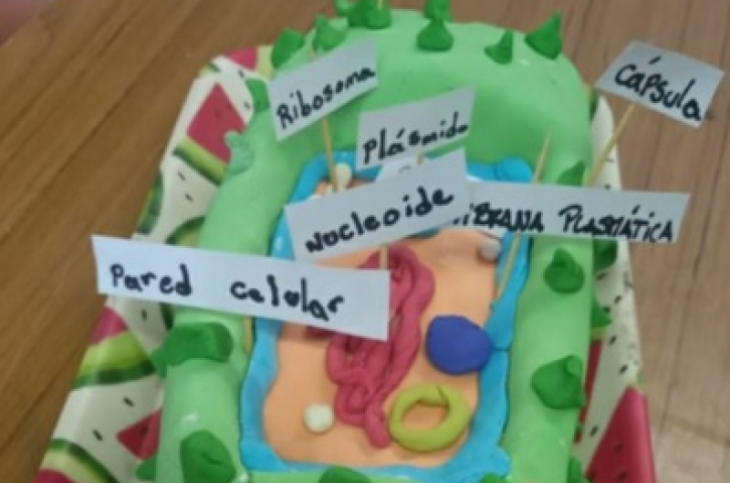 MAQUETAS COMESTIBLES